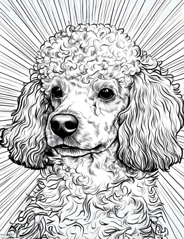 Poodle Coloring Page #1