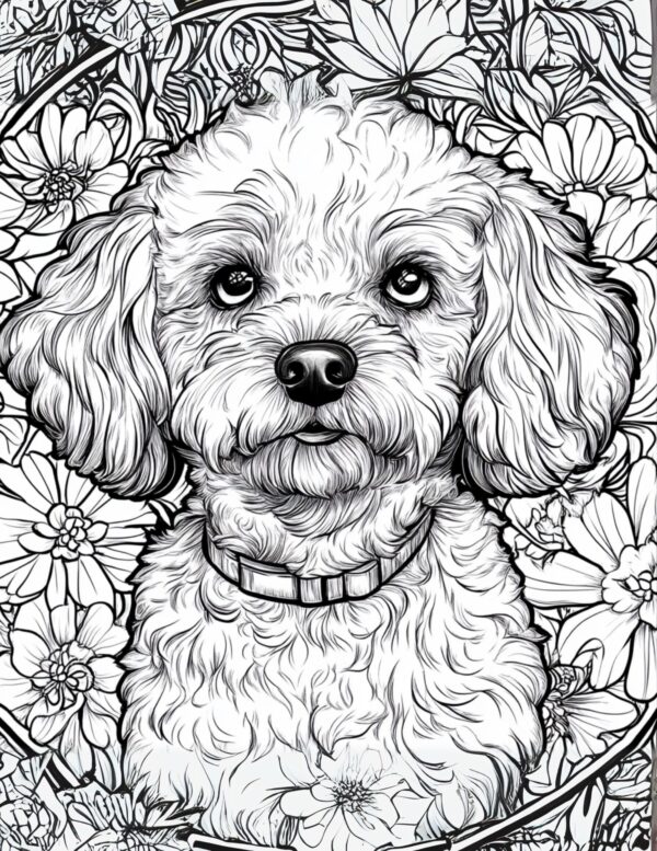 Poodle Coloring Page #3