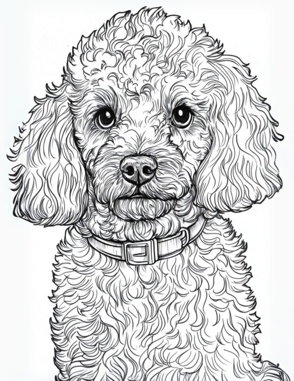 Poodle Coloring Page #5