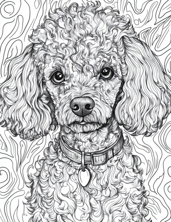 Poodle Coloring Page #9